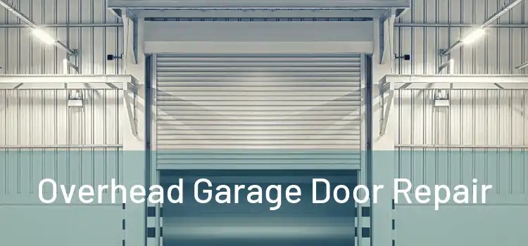  Overhead Garage Door Repair 